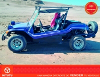 Buggy Puelche