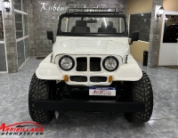 Jeep C/GNC 4X2 Fibra Motor 221 Necochea